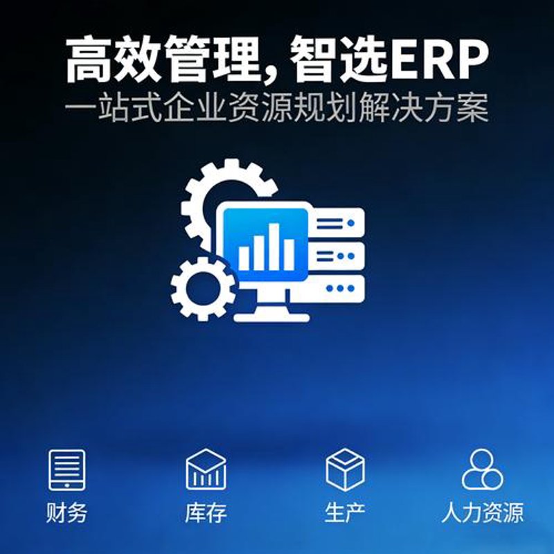 ERP系统开发：助力企业数字化转型的新引擎